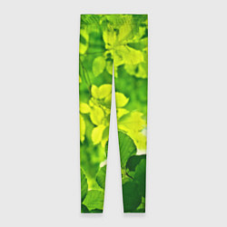 Леггинсы женские Зелёные листья, цвет: 3D-принт