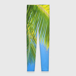 Леггинсы женские Пальма у неба, цвет: 3D-принт