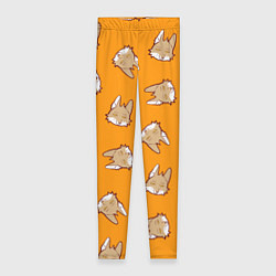 Женские легинсы Тибетская лиса-пофигистка