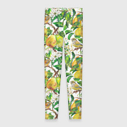 Леггинсы женские Груша и птичка зеленушка, цвет: 3D-принт