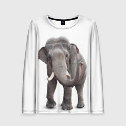 Лонгслив женский Большой слон, цвет: 3D-принт