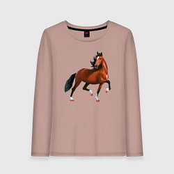 Лонгслив хлопковый женский Хакнэ, цвет: пыльно-розовый