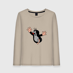 Женский лонгслив Чешский крот из мультика