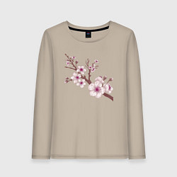 Лонгслив хлопковый женский Ветка сакуры - весна - Япония, цвет: миндальный
