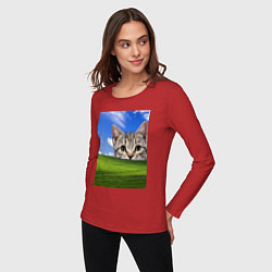 Лонгслив хлопковый женский Кот и безмятежность в Windows XP, цвет: красный — фото 2