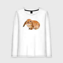 Лонгслив хлопковый женский Рыжий пушистый кролик, цвет: белый