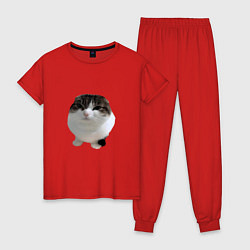 Пижама хлопковая женская Wawa cat Oh The Misery Cat, цвет: красный