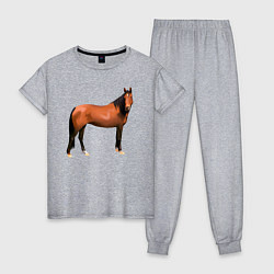 Пижама хлопковая женская Теплокровная лошадка, цвет: меланж