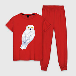 Пижама хлопковая женская Белая полярная сова, цвет: красный