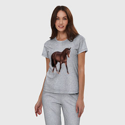 Пижама хлопковая женская Австралийская пастушья лошадь, цвет: меланж — фото 2