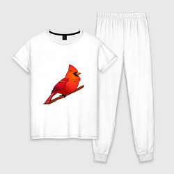 Женская пижама Птица красный кардинал