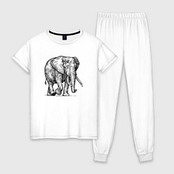 Пижама хлопковая женская Слон идет, цвет: белый