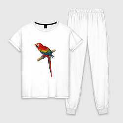 Женская пижама Попугай ara macaw