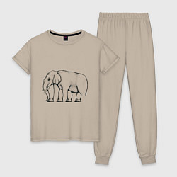 Пижама хлопковая женская Сколько ног у слона, цвет: миндальный