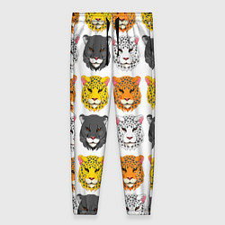 Женские брюки Дикие цветные кошки