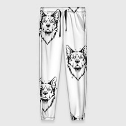 Женские брюки Голова собаки