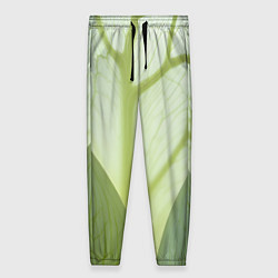 Женские брюки Макро съемка листа