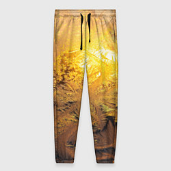 Брюки женские Зимний закат, цвет: 3D-принт