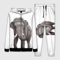 Женский 3D-костюм Большой слон, цвет: 3D-черный