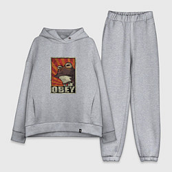 Женский костюм оверсайз Obey frog, цвет: меланж