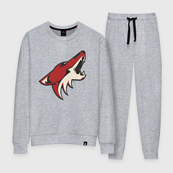 Женский костюм Phoenix Coyotes