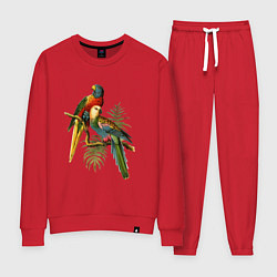Костюм хлопковый женский Тропические попугаи, цвет: красный