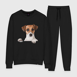 Костюм хлопковый женский Собака, цвет: черный