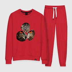 Костюм хлопковый женский Owl puzzle, цвет: красный