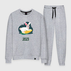 Костюм хлопковый женский Кролик 2023, цвет: меланж