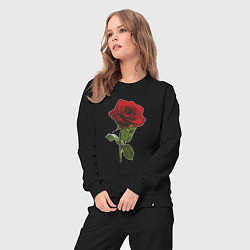 Костюм хлопковый женский Красивая красная роза, цвет: черный — фото 2