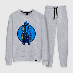 Костюм хлопковый женский Синий скакун, цвет: меланж