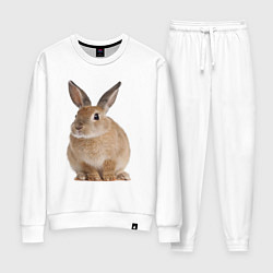Костюм хлопковый женский Бежевый кролик, цвет: белый