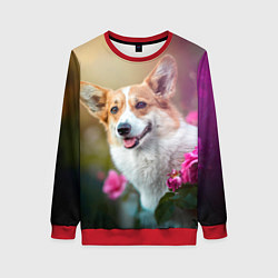 Свитшот женский Корги в розовом кусте, цвет: 3D-красный