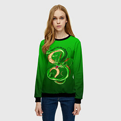 Свитшот женский Земляной анимешный дракон, цвет: 3D-черный — фото 2