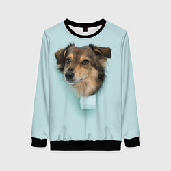Свитшот женский Собака Dog, цвет: 3D-черный