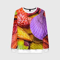 Женский свитшот Разноцветные ракушки multicolored seashells