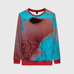 Свитшот женский Meddle - Pink Floyd, цвет: 3D-красный