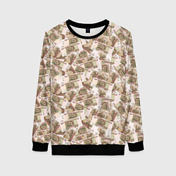 Женский свитшот Купюры 100 рублей