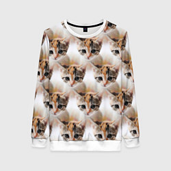 Свитшот женский Маленький котенок паттерн, цвет: 3D-белый