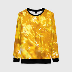 Свитшот женский Золотые листья на ветках, цвет: 3D-черный
