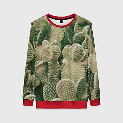 Свитшот женский Поле кактусов, цвет: 3D-красный