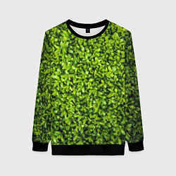 Свитшот женский Зелёная трава листья, цвет: 3D-черный