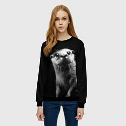 Свитшот женский Выдра любопытная, цвет: 3D-черный — фото 2
