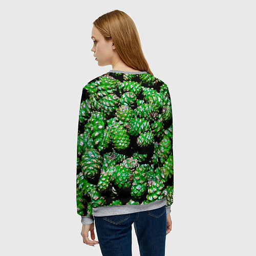 Женский свитшот Гора зеленых шишек: с отступающим годом / 3D-Меланж – фото 4