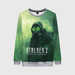 Свитшот женский Stalker 2 сердце Чернобыля, цвет: 3D-меланж