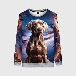 Свитшот женский Веймаранер в космосе, цвет: 3D-меланж