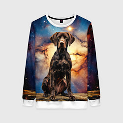 Свитшот женский Курцхаар и космос, цвет: 3D-белый