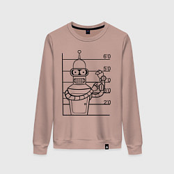 Свитшот хлопковый женский Bender Wanted, цвет: пыльно-розовый