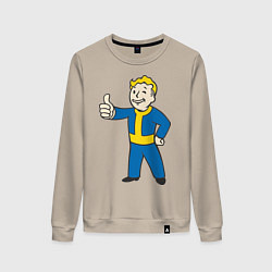 Женский свитшот Fallout Boy