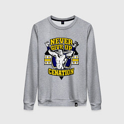 Свитшот хлопковый женский Never Give Up: Cenation, цвет: меланж